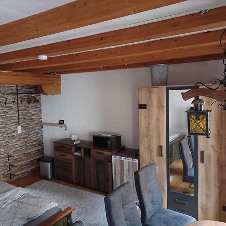 See- Und Altstadthaeusle - Alles Direkt Vor Der Haustuer - Bodenseeufer Natur Altstadt Bahnhof Bora-Sauna - Klein Und Super Zentral Zum See Oepnv Stadt Natur Etc - Appartement Historica Radolfzell am Bodensee Exterior foto