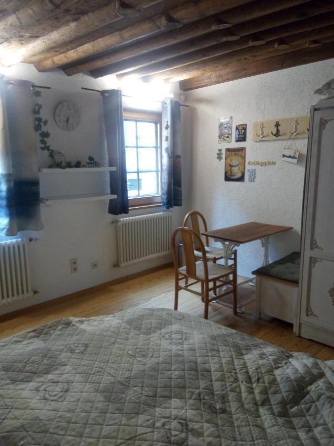 See- Und Altstadthaeusle - Alles Direkt Vor Der Haustuer - Bodenseeufer Natur Altstadt Bahnhof Bora-Sauna - Klein Und Super Zentral Zum See Oepnv Stadt Natur Etc - Appartement Historica Radolfzell am Bodensee Exterior foto